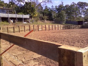 Horse Riding Arena