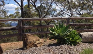 Entrance Fence