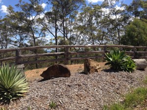 Entrance Fence