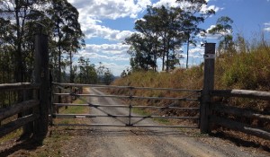 Entrance Gate